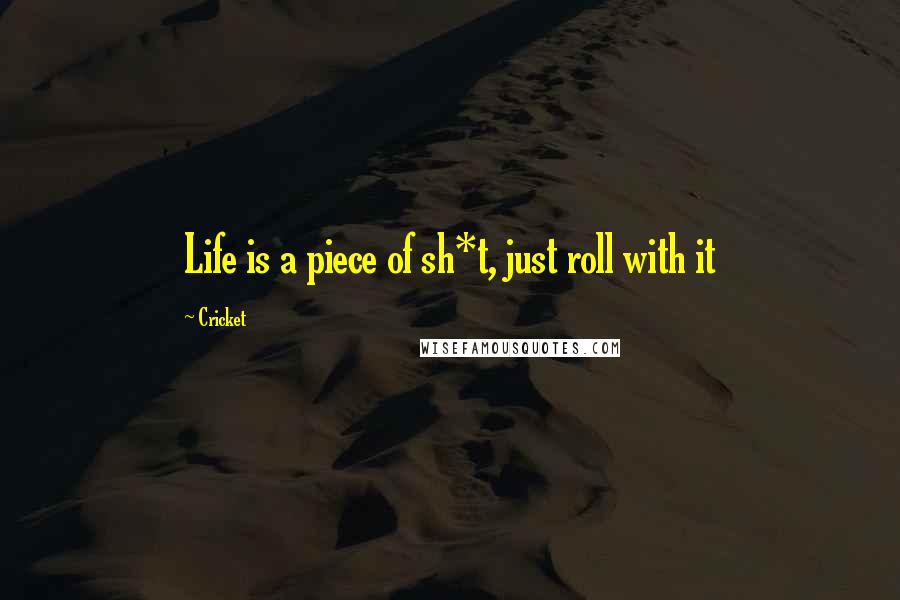 Cricket Quotes: Life is a piece of sh*t, just roll with it