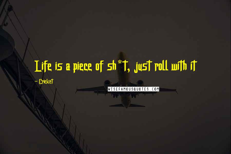 Cricket Quotes: Life is a piece of sh*t, just roll with it