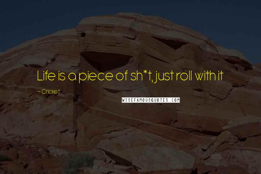 Cricket Quotes: Life is a piece of sh*t, just roll with it