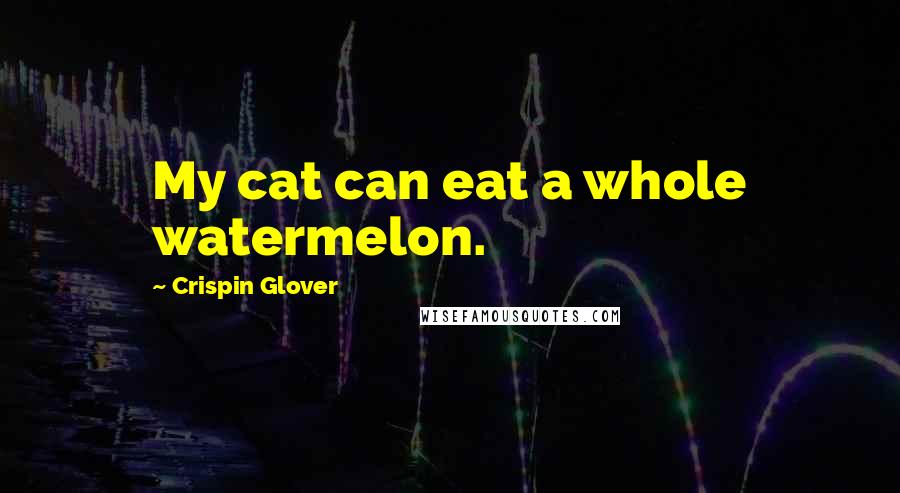 Crispin Glover Quotes: My cat can eat a whole watermelon.