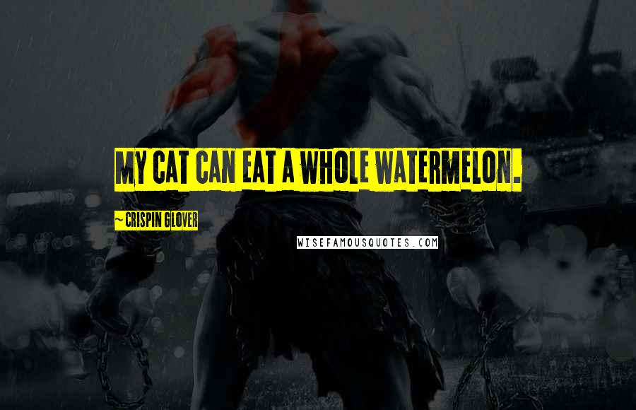 Crispin Glover Quotes: My cat can eat a whole watermelon.