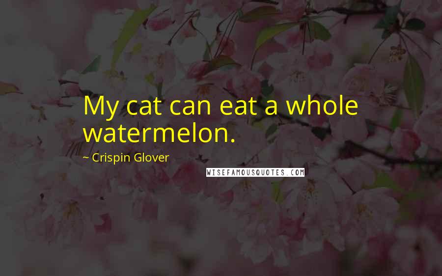 Crispin Glover Quotes: My cat can eat a whole watermelon.