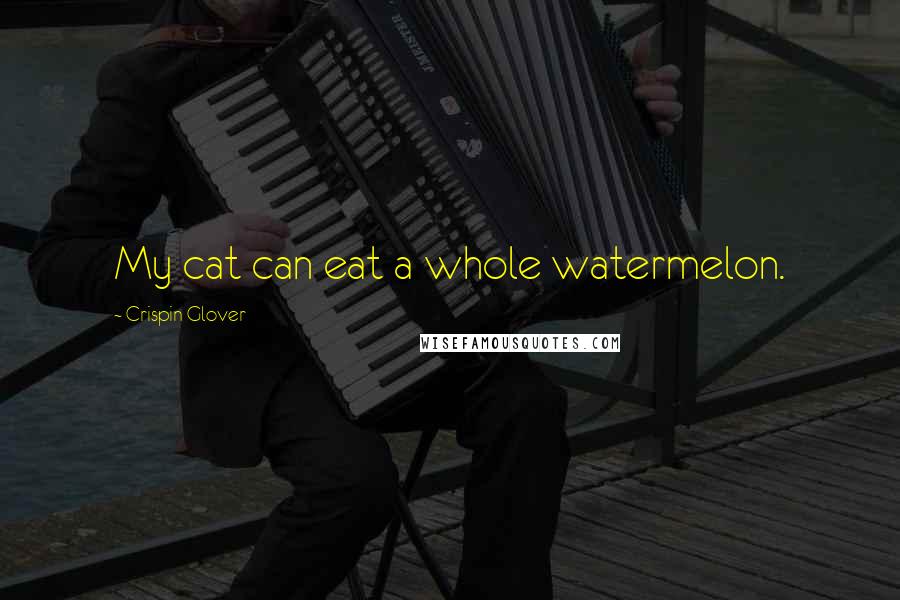 Crispin Glover Quotes: My cat can eat a whole watermelon.