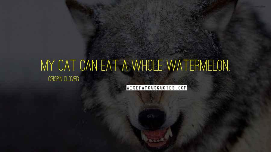 Crispin Glover Quotes: My cat can eat a whole watermelon.