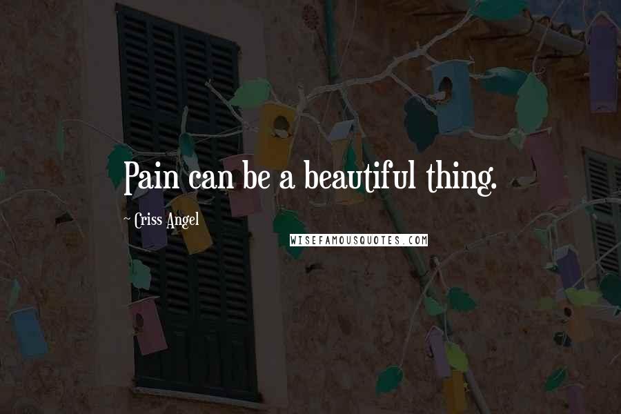 Criss Angel Quotes: Pain can be a beautiful thing.