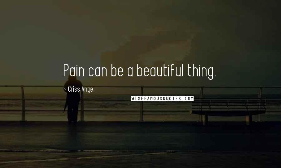 Criss Angel Quotes: Pain can be a beautiful thing.