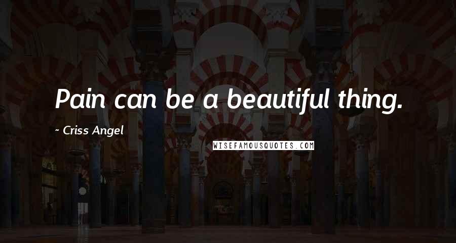 Criss Angel Quotes: Pain can be a beautiful thing.