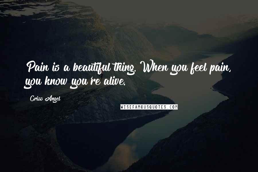 Criss Angel Quotes: Pain is a beautiful thing. When you feel pain, you know you're alive.