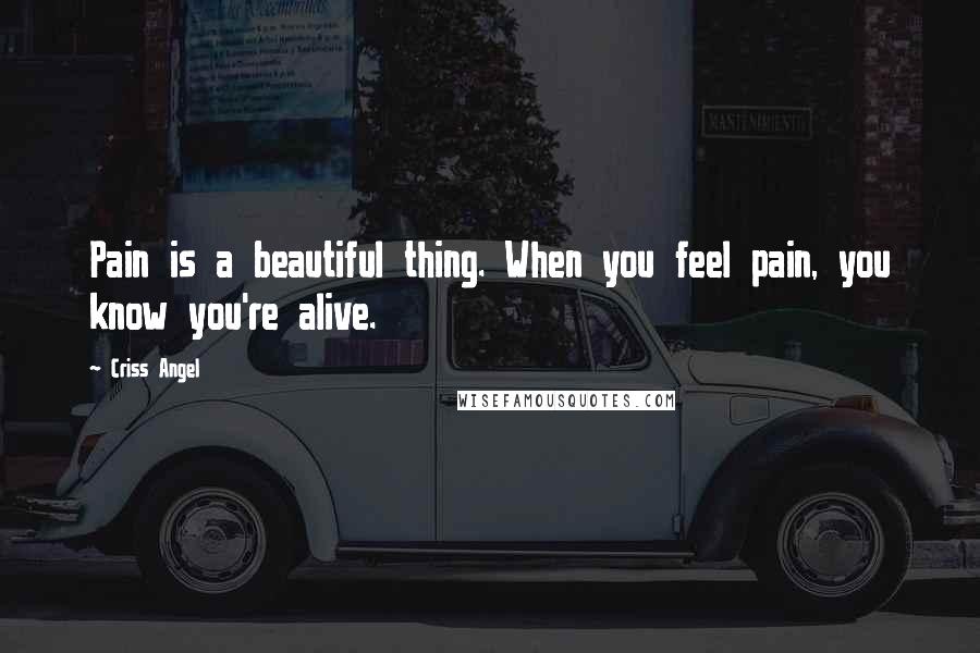 Criss Angel Quotes: Pain is a beautiful thing. When you feel pain, you know you're alive.