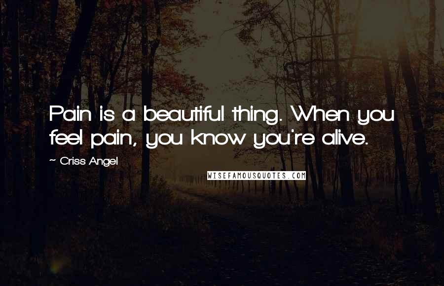 Criss Angel Quotes: Pain is a beautiful thing. When you feel pain, you know you're alive.