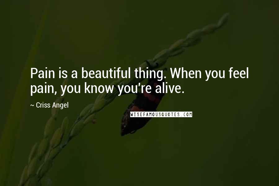 Criss Angel Quotes: Pain is a beautiful thing. When you feel pain, you know you're alive.