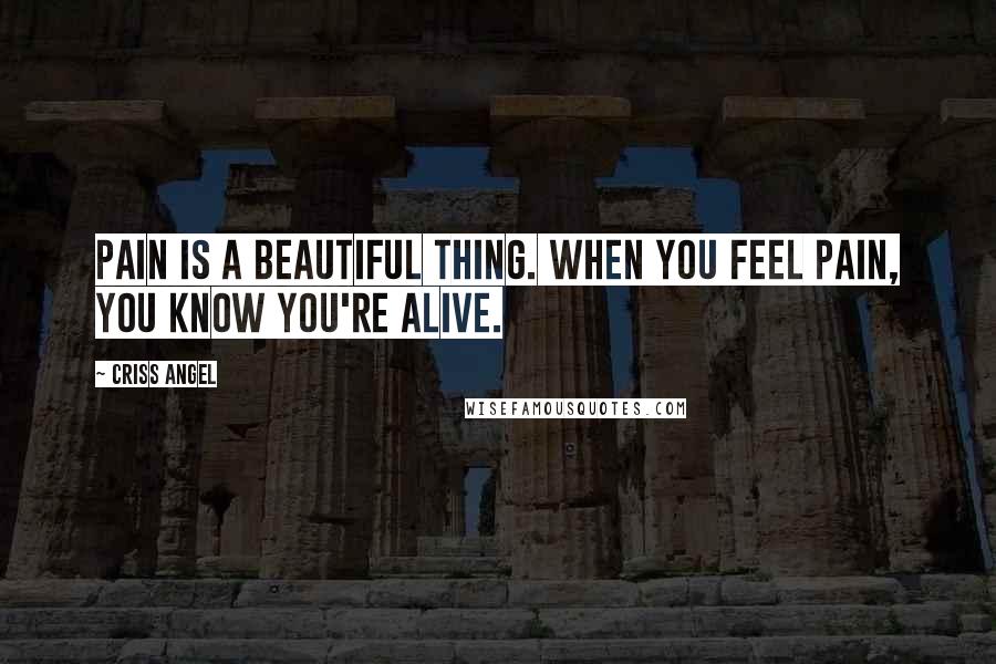 Criss Angel Quotes: Pain is a beautiful thing. When you feel pain, you know you're alive.