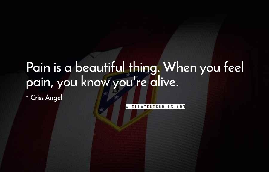 Criss Angel Quotes: Pain is a beautiful thing. When you feel pain, you know you're alive.