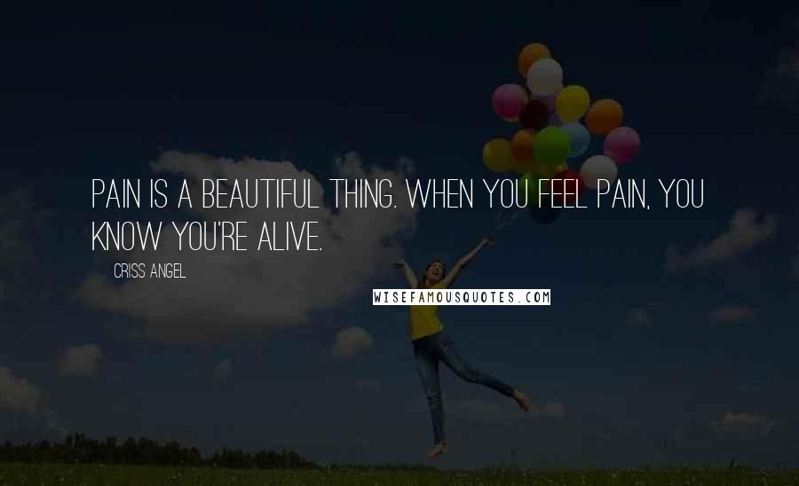 Criss Angel Quotes: Pain is a beautiful thing. When you feel pain, you know you're alive.