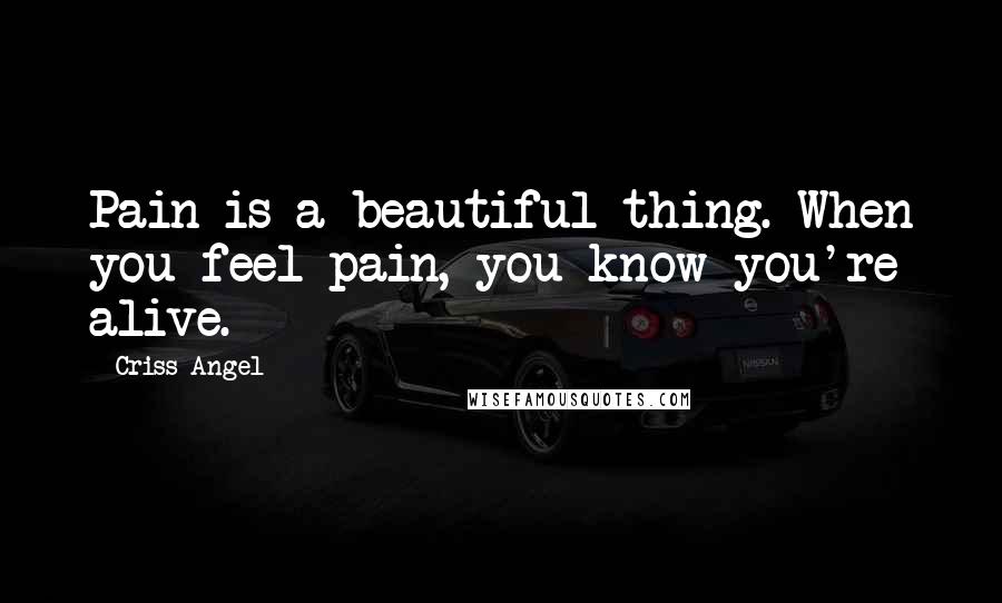 Criss Angel Quotes: Pain is a beautiful thing. When you feel pain, you know you're alive.