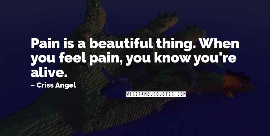 Criss Angel Quotes: Pain is a beautiful thing. When you feel pain, you know you're alive.