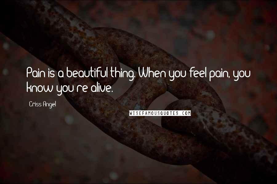 Criss Angel Quotes: Pain is a beautiful thing. When you feel pain, you know you're alive.