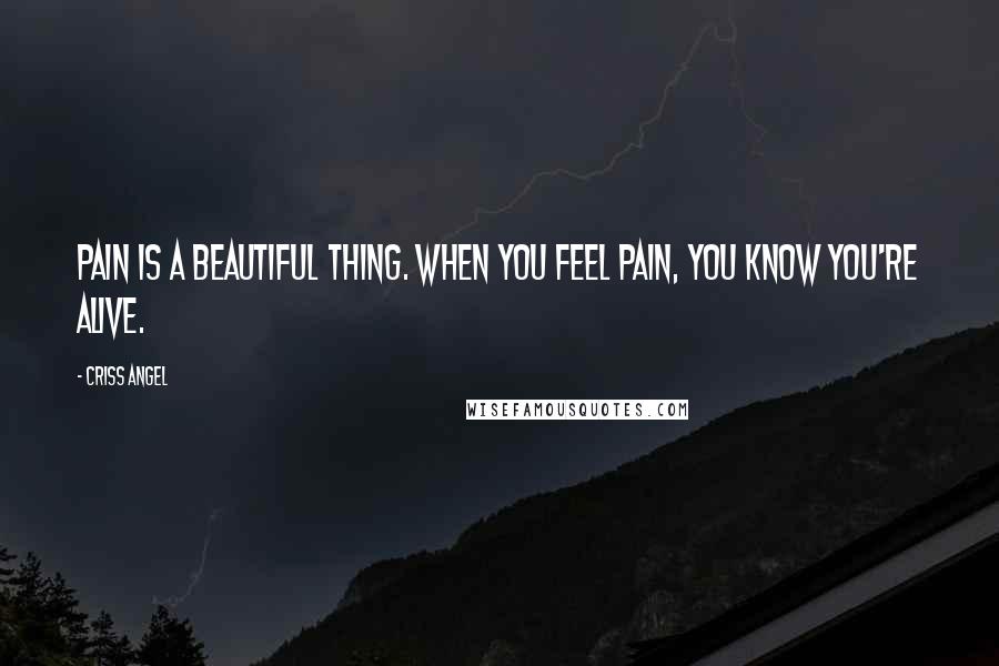 Criss Angel Quotes: Pain is a beautiful thing. When you feel pain, you know you're alive.