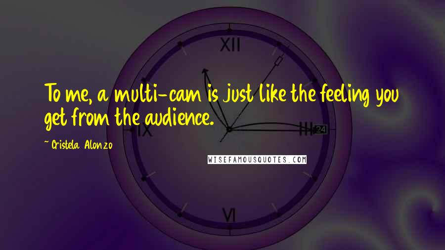 Cristela Alonzo Quotes: To me, a multi-cam is just like the feeling you get from the audience.