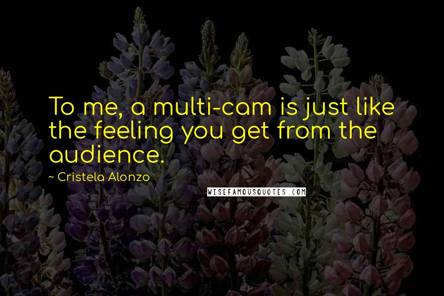 Cristela Alonzo Quotes: To me, a multi-cam is just like the feeling you get from the audience.