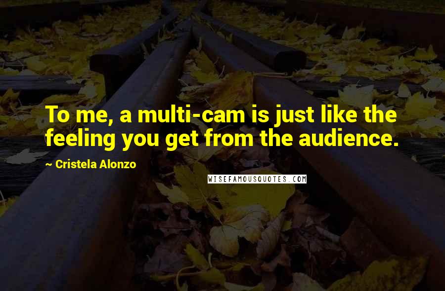 Cristela Alonzo Quotes: To me, a multi-cam is just like the feeling you get from the audience.