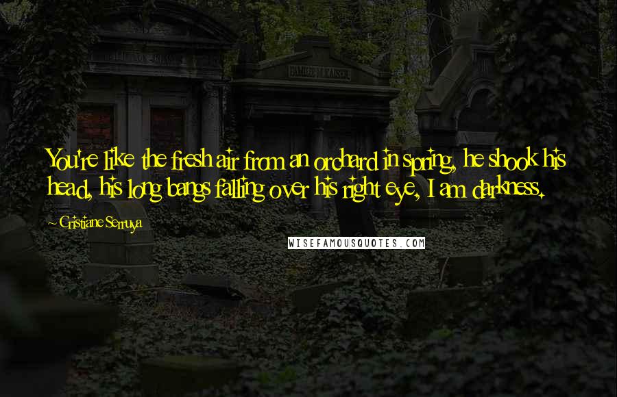 Cristiane Serruya Quotes: You're like the fresh air from an orchard in spring, he shook his head, his long bangs falling over his right eye, I am darkness.