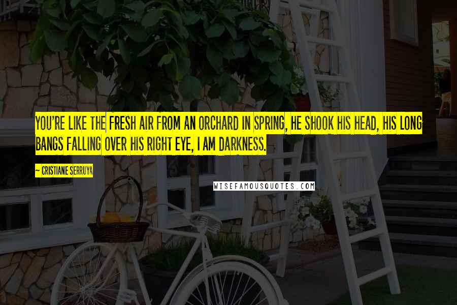 Cristiane Serruya Quotes: You're like the fresh air from an orchard in spring, he shook his head, his long bangs falling over his right eye, I am darkness.