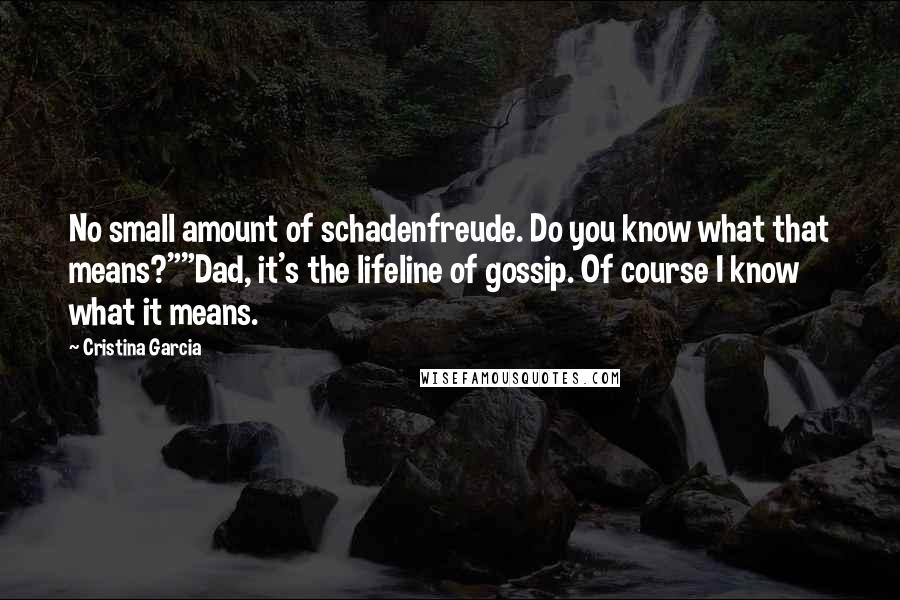 Cristina Garcia Quotes: No small amount of schadenfreude. Do you know what that means?""Dad, it's the lifeline of gossip. Of course I know what it means.