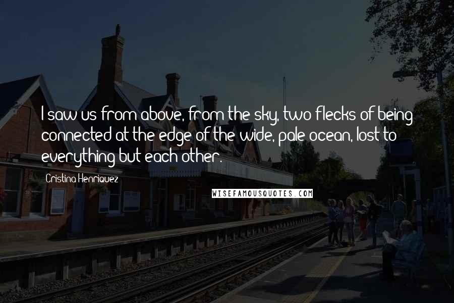 Cristina Henriquez Quotes: I saw us from above, from the sky, two flecks of being connected at the edge of the wide, pale ocean, lost to everything but each other.