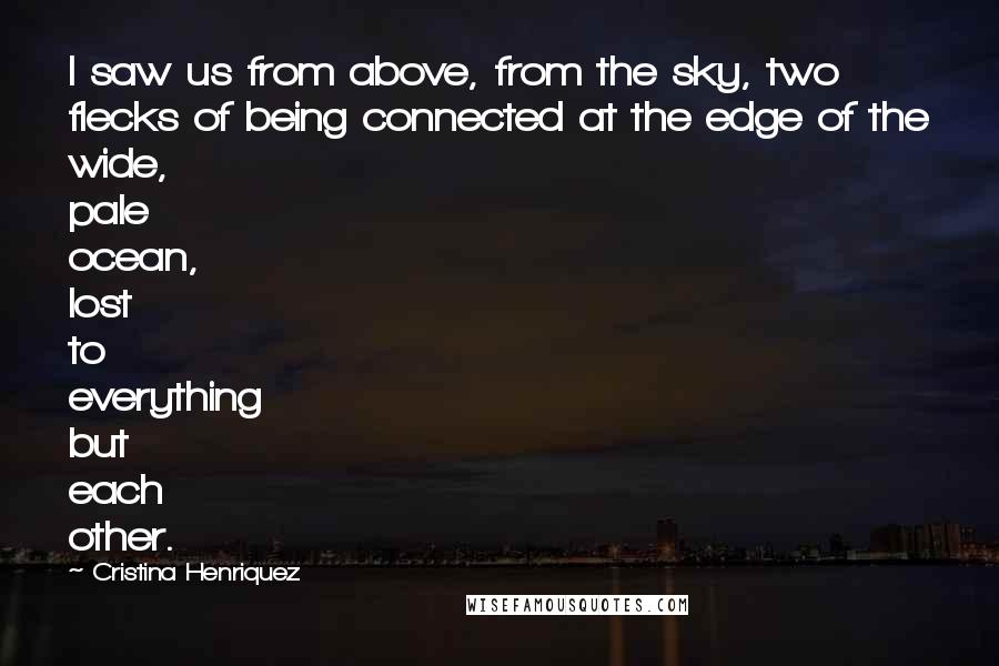 Cristina Henriquez Quotes: I saw us from above, from the sky, two flecks of being connected at the edge of the wide, pale ocean, lost to everything but each other.