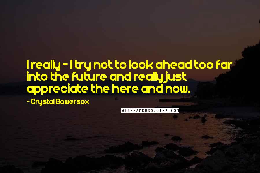 Crystal Bowersox Quotes: I really - I try not to look ahead too far into the future and really just appreciate the here and now.