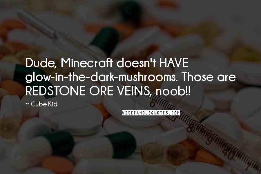 Cube Kid Quotes: Dude, Minecraft doesn't HAVE glow-in-the-dark-mushrooms. Those are REDSTONE ORE VEINS, noob!!