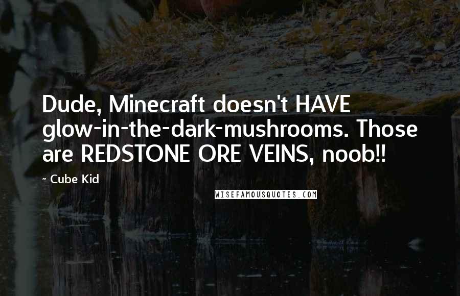 Cube Kid Quotes: Dude, Minecraft doesn't HAVE glow-in-the-dark-mushrooms. Those are REDSTONE ORE VEINS, noob!!