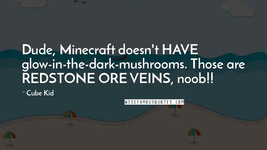 Cube Kid Quotes: Dude, Minecraft doesn't HAVE glow-in-the-dark-mushrooms. Those are REDSTONE ORE VEINS, noob!!
