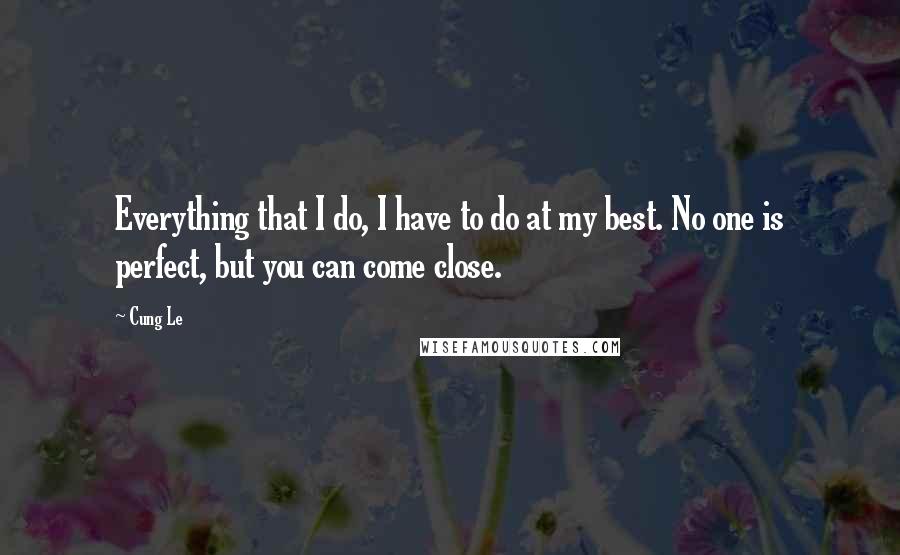 Cung Le Quotes: Everything that I do, I have to do at my best. No one is perfect, but you can come close.