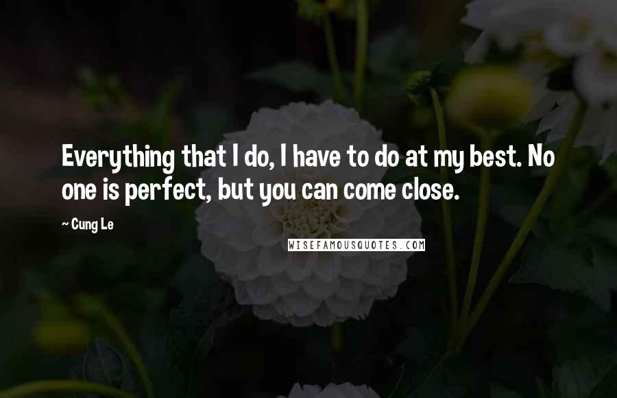 Cung Le Quotes: Everything that I do, I have to do at my best. No one is perfect, but you can come close.