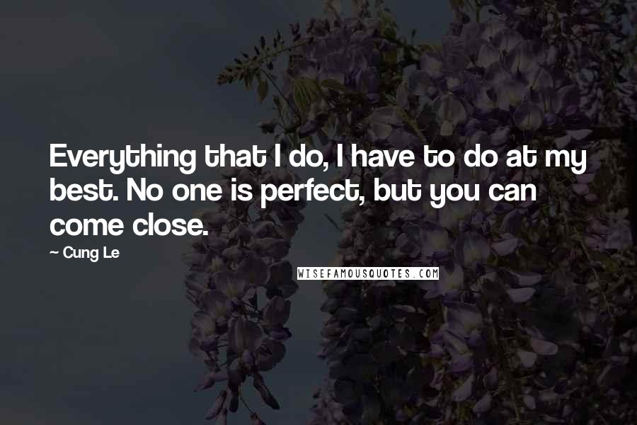 Cung Le Quotes: Everything that I do, I have to do at my best. No one is perfect, but you can come close.