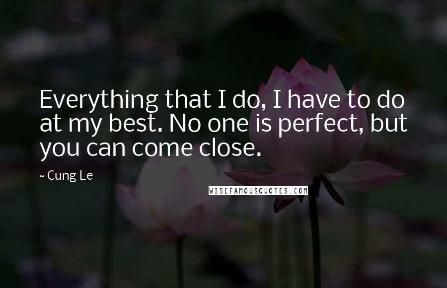 Cung Le Quotes: Everything that I do, I have to do at my best. No one is perfect, but you can come close.