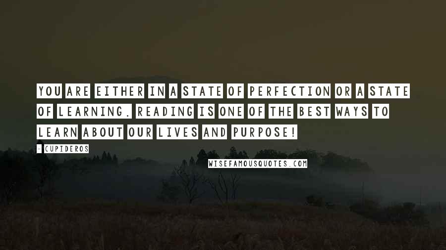 Cupideros Quotes: You are either in a state of perfection or a state of learning. Reading is one of the best ways to learn about our lives and purpose!