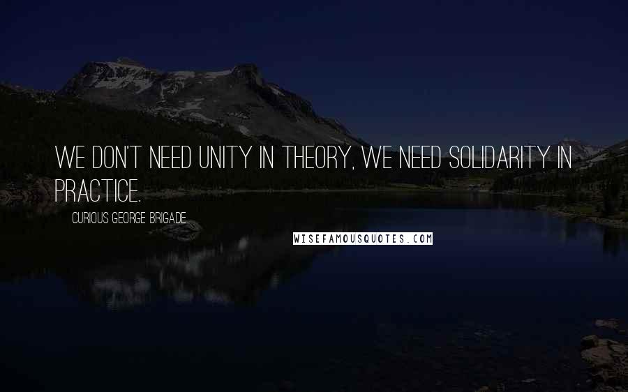 Curious George Brigade Quotes: We don't need unity in theory, we need solidarity in practice.