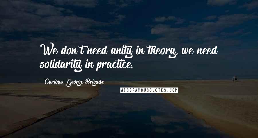 Curious George Brigade Quotes: We don't need unity in theory, we need solidarity in practice.