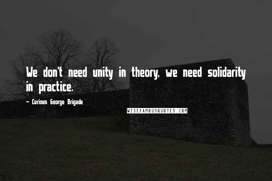 Curious George Brigade Quotes: We don't need unity in theory, we need solidarity in practice.