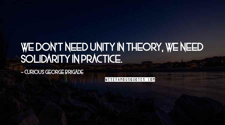 Curious George Brigade Quotes: We don't need unity in theory, we need solidarity in practice.