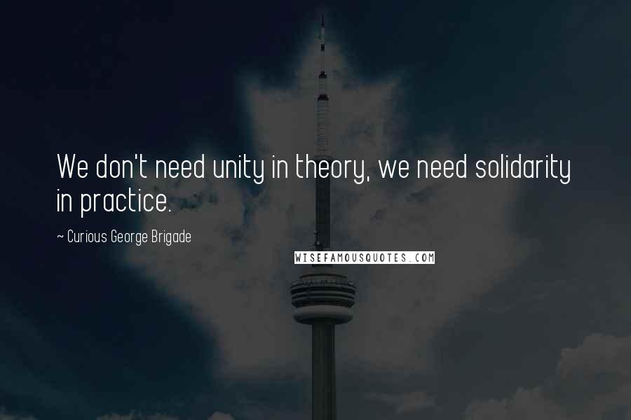 Curious George Brigade Quotes: We don't need unity in theory, we need solidarity in practice.