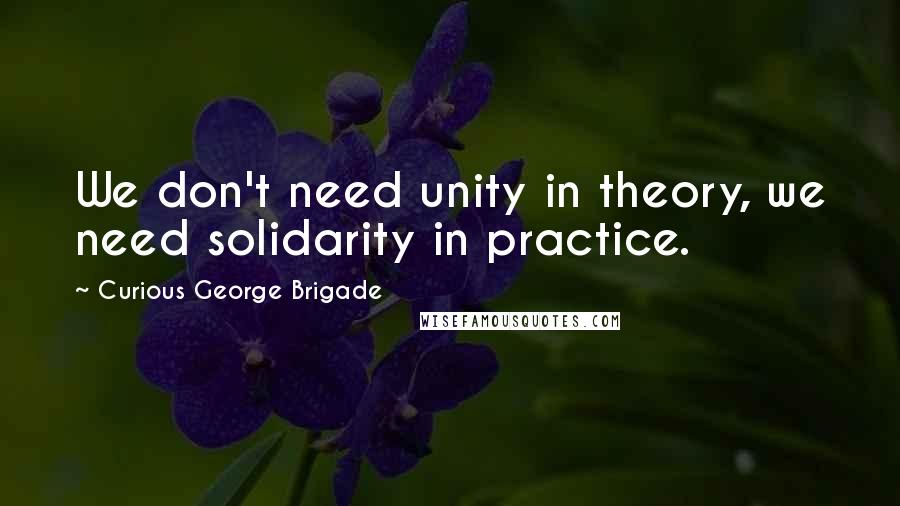 Curious George Brigade Quotes: We don't need unity in theory, we need solidarity in practice.