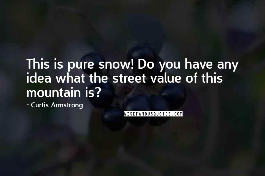 Curtis Armstrong Quotes: This is pure snow! Do you have any idea what the street value of this mountain is?