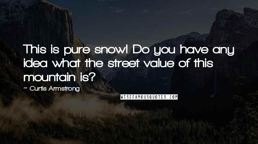 Curtis Armstrong Quotes: This is pure snow! Do you have any idea what the street value of this mountain is?