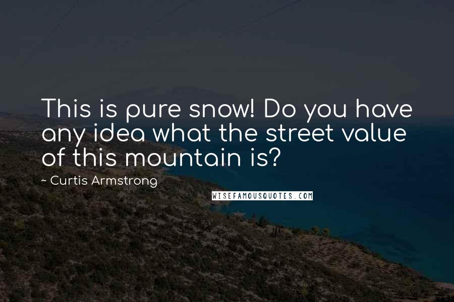 Curtis Armstrong Quotes: This is pure snow! Do you have any idea what the street value of this mountain is?