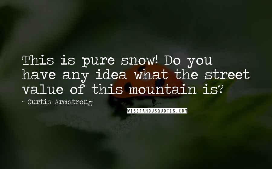 Curtis Armstrong Quotes: This is pure snow! Do you have any idea what the street value of this mountain is?