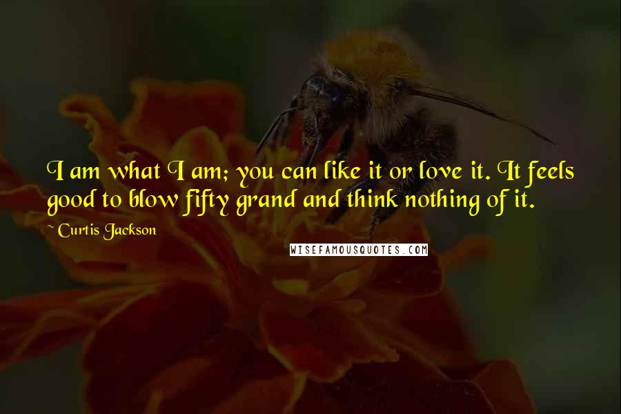 Curtis Jackson Quotes: I am what I am; you can like it or love it. It feels good to blow fifty grand and think nothing of it.